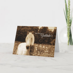 Western Sepia White Horse Blank Dankeskarte