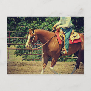 Western Sorrel Postkarte