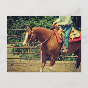 Western Sorrel Postkarte