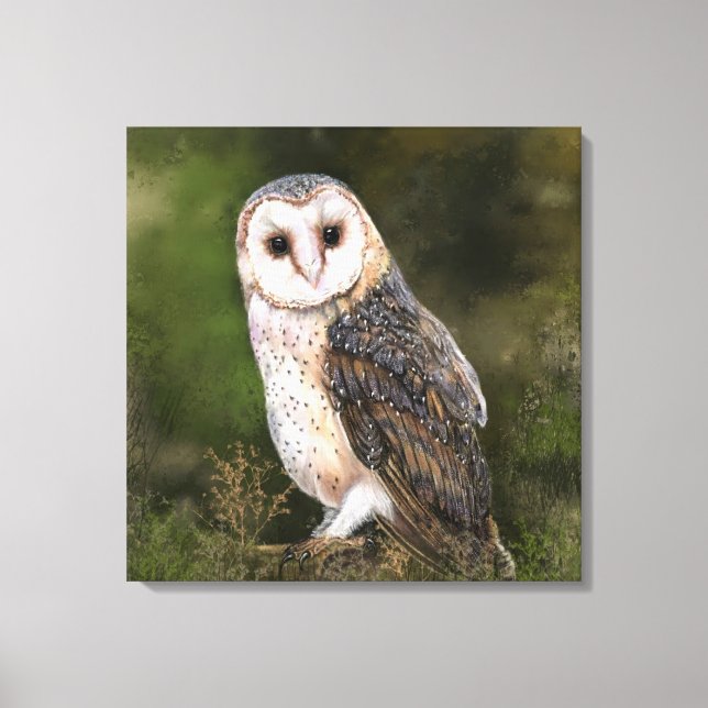 Western Stall Owl Canvas drucken - Malerei Leinwanddruck (Vorderseite)