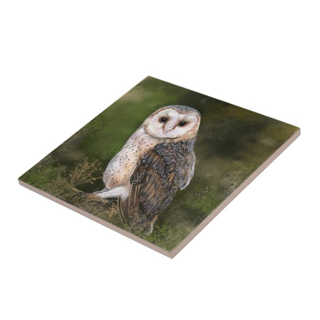 Western Stall Owl Keramik Tile Fliese (Seite)