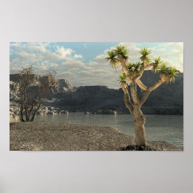 Western Stream Poster (Vorne)