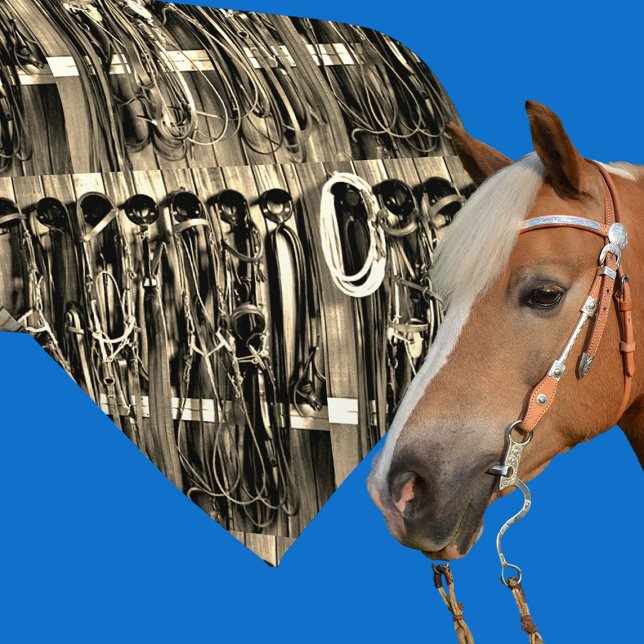 Western Tack Room Bridles Rope Print Necktie 2 Krawatte (Western necktie with tack room bridles and rope)