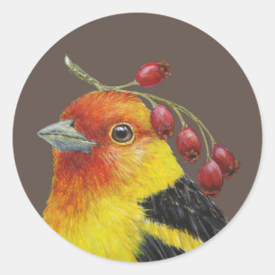 Western-Tanager-Aufkleber Runder Aufkleber