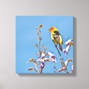 Western Tanager Leinwanddruck