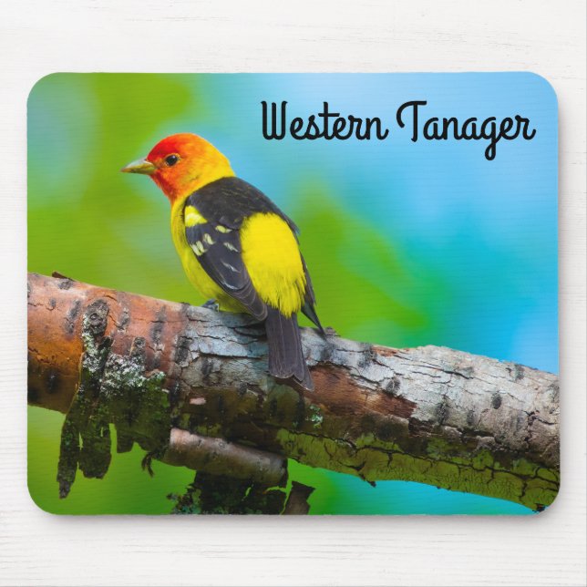 Western Tanager Mousepad (Vorne)