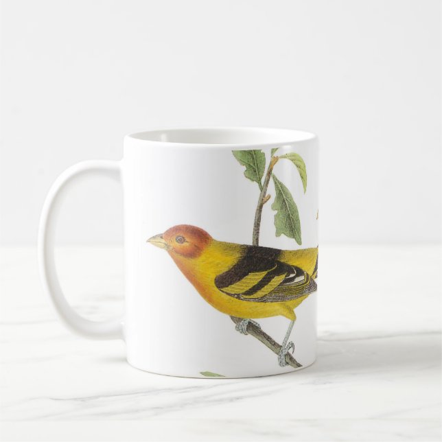 Western Tanager von Audubon Kaffeetasse (Links)