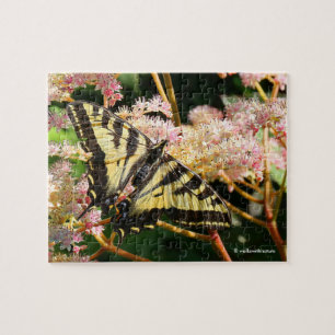 Western Tiger Frack Butterfly auf Rodgersia Puzzle
