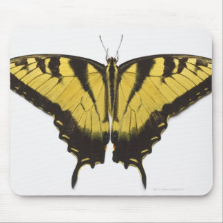 Western Tiger Frack Butterfly Mousepad