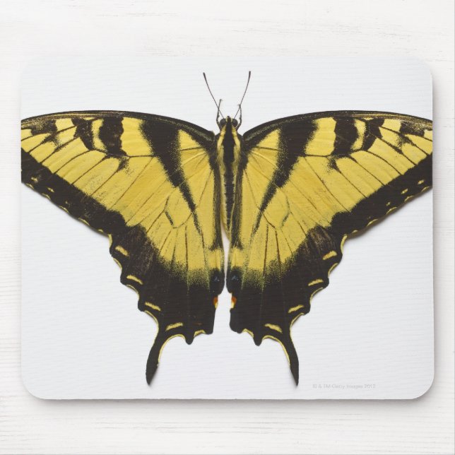 Western Tiger Frack Butterfly Mousepad (Vorne)