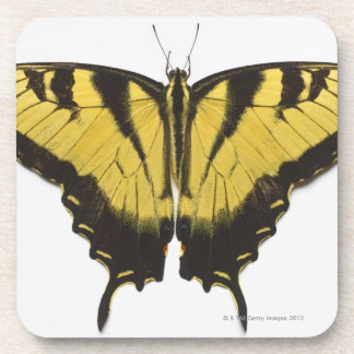 Western-Tiger-Frack-Schmetterling Getränkeuntersetzer