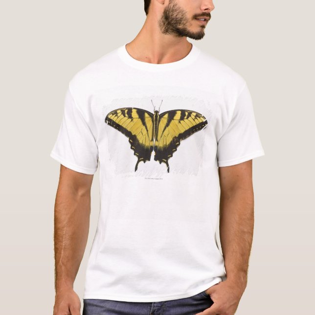 Western-Tiger-Frack-Schmetterling T-Shirt (Vorderseite)