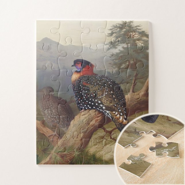 Western tragopan, Vogelbilder Puzzle (Von Creator hochgeladen)
