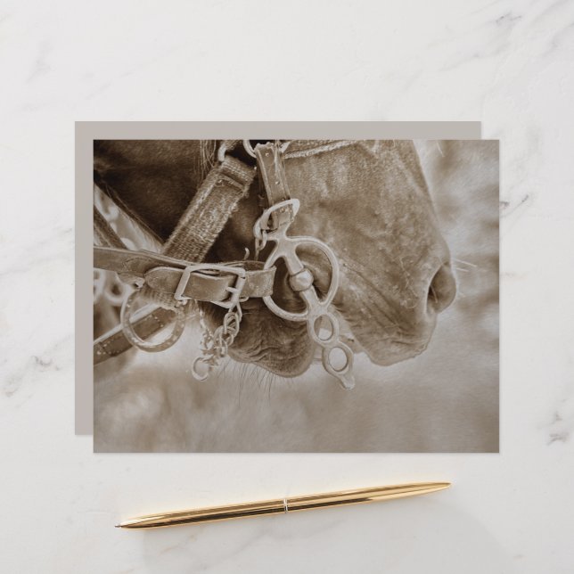 Western Vintag Sepia Rustikale Decoupage (Vorderseite/Rückseite Beispiel)