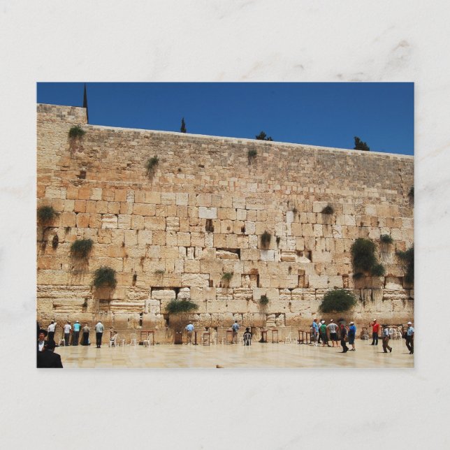 Western Wall, Jerusalem Postkarte (Vorderseite)