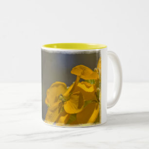 Western Wallflower Zweifarbige Tasse