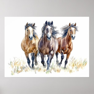 Western Wild & Free Mustang Pferde Poster