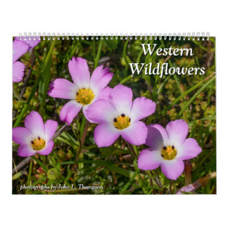 Western Wildblumen 2025 Kalender