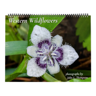 Western-Wildblumen-Kalender für 2024 Kalender