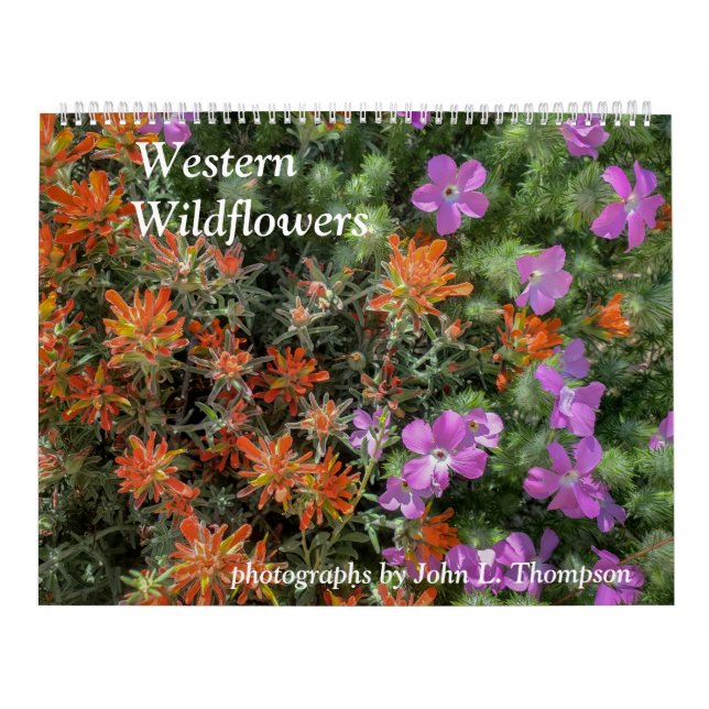 Western-Wildblumen-Kalender Kalender (Titelbild)