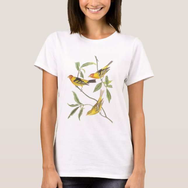 WesternTanager durch Audubon T-Shirt (Vorderseite)