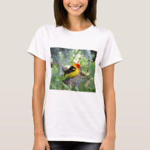 WesternTanager
