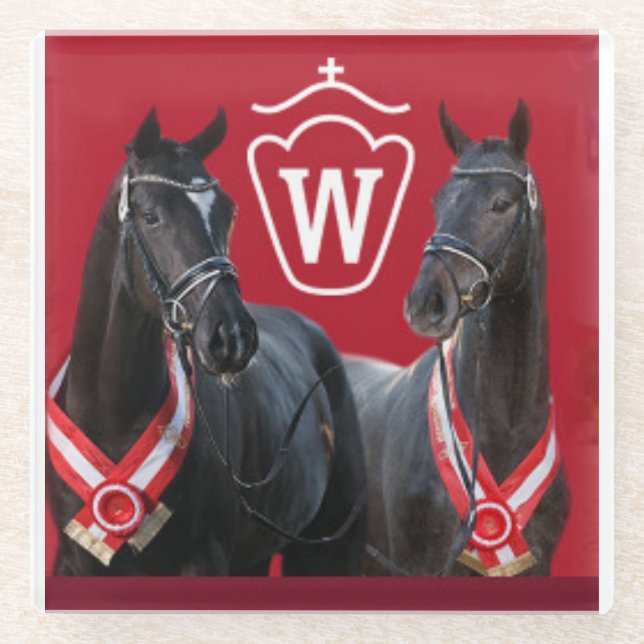 Westfalenstallions-Untersetzer Glasuntersetzer (Vorderseite)