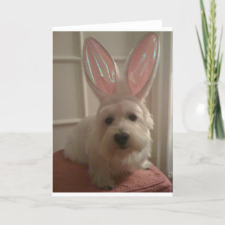 Westhighland Bunny Karte