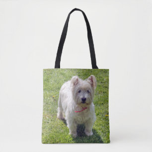 Westhochland Terrier