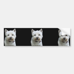 Westhochland Terrier Autoaufkleber