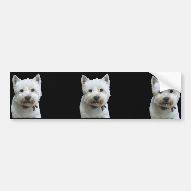 Westhochland Terrier Autoaufkleber (Vorne)