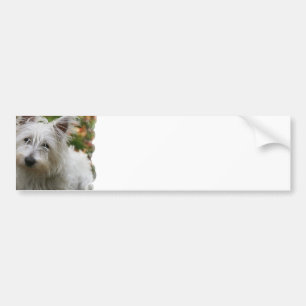 Westhochland-Terrier-Autoaufkleber Autoaufkleber