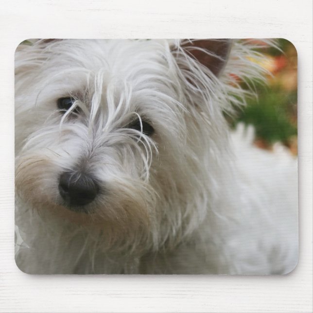 Westhochland-Terrier-Mausunterlage Mousepad (Vorne)