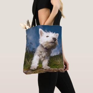 Westhochland-Terrier-Welpe
