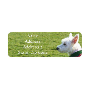 Westhochland-weißes Terrier-Adressen-Etiketten