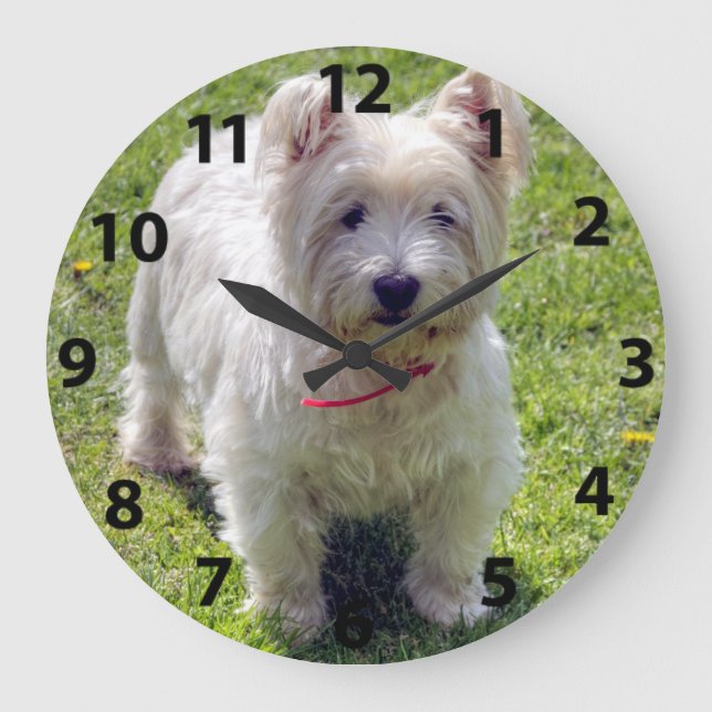 Westhochland weißes Terrier Große Wanduhr (Vorderseite)