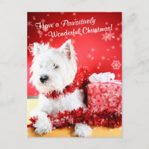 Westhochland-weißes Terrier-Weihnachtswünsche Feiertagspostkarte
