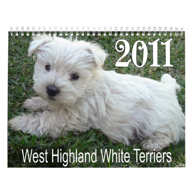 Westhochland-weißes Terrier-Welpen-Kalender 2011 Kalender (Titelbild)