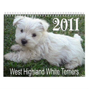 Westhochland-weißes Terrier-Welpen-Kalender 2011 Kalender