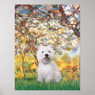 Westie 2 - Frühling Poster