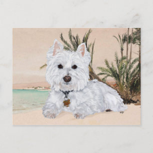 Westie am Strand Postkarte