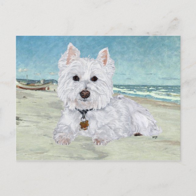 Westie am Strand Postkarte (Vorderseite)
