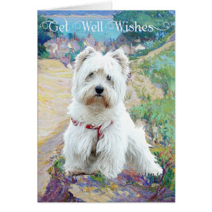 Westie an der Küste