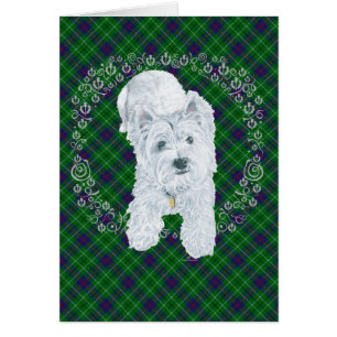 Westie auf Tartan