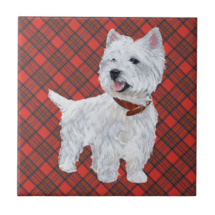 Westie auf Tartan TILE Fliese