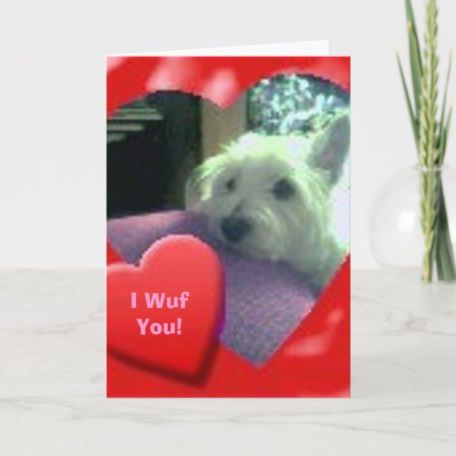 Westie Card zum Valentinstag Feiertagskarte (Vorderseite)