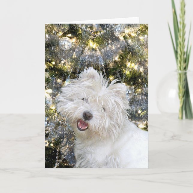 Westie Christmas Feiertagskarte (Vorderseite)