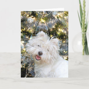 Westie Christmas Feiertagskarte