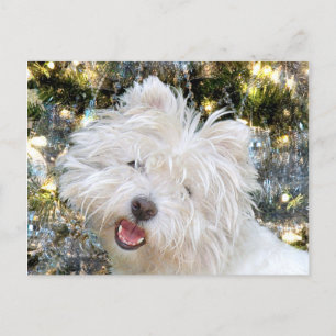 Westie Christmas Feiertagspostkarte