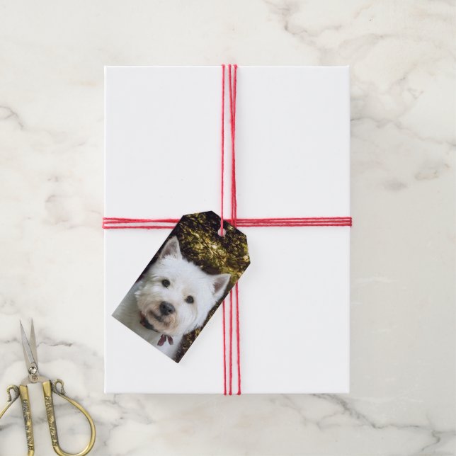 Westie Christmas Geschenkanhänger (Mit Garn)